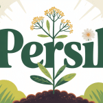 Le persil repousse t il l'année suivante illustration végétale potager