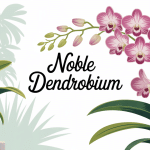 noble dendrobium fleuri dans un pot décoratif en intérieur