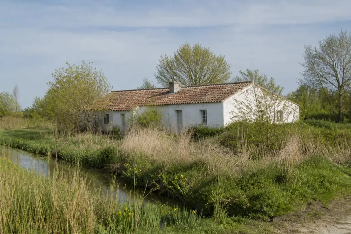 Maison traditionnelle vendéenne de type bourrine dans le Marais vendéen avec murs clairs et toiture basse